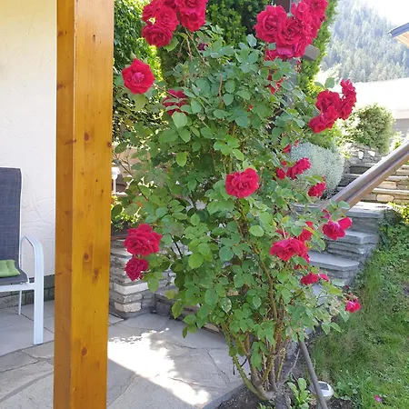 Apartamento Rupertihaus Flachau